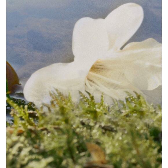 $105‎ Chloé Nomade Eau de Parfum 1fl oz/30ml - Picture 5 of 5